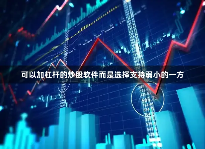 可以加杠杆的炒股软件而是选择支持弱小的一方