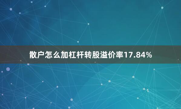散户怎么加杠杆转股溢价率17.84%