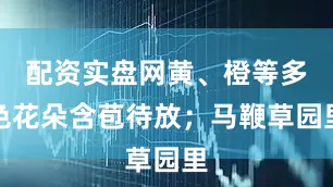 配资实盘网黄、橙等多色花朵含苞待放；马鞭草园里