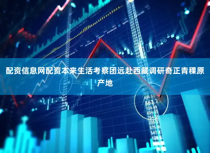 配资信息网配资本来生活考察团远赴西藏调研奇正青稞原产地